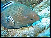 IMG_9029.JPG