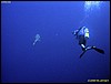 IMG_9032.JPG