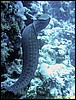 IMG_9035.JPG