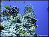 IMG_9036.JPG