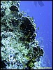 IMG_9039.JPG