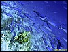 IMG_9040.JPG