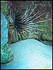 IMG_9046.JPG