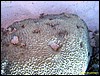 IMG_9051.JPG