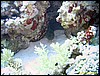 IMG_9052.JPG