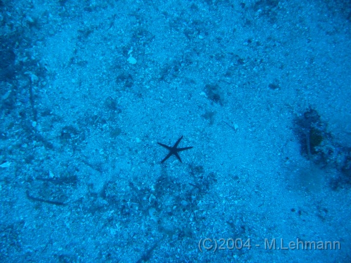 IMG_5325.JPG