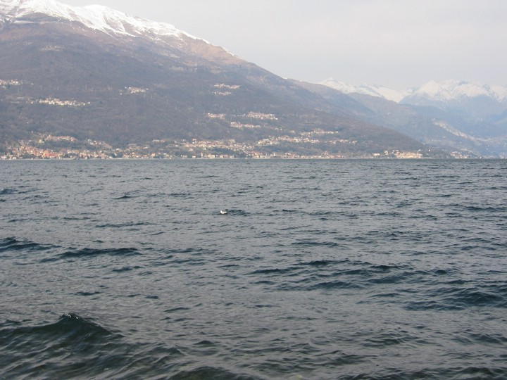 IMG_9463.JPG