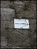 IMG_9457.JPG