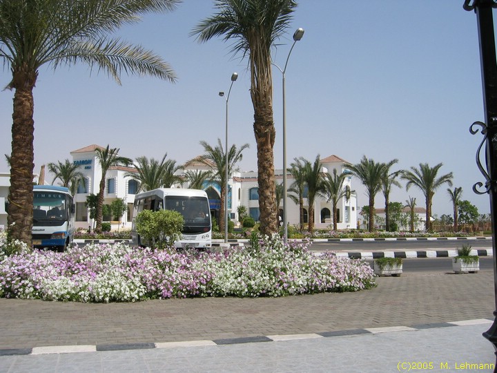 IMG_9516.JPG