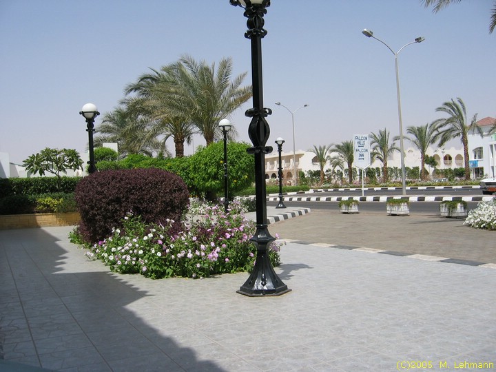 IMG_9517.JPG