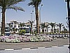 IMG_9516.JPG