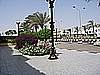 IMG_9517.JPG