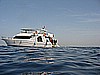 IMG_9538.JPG