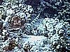 IMG_9540.JPG
