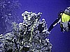 IMG_9542.JPG