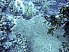 IMG_9545.JPG