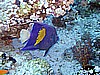 IMG_9558.JPG