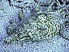 IMG_9560.JPG