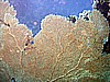 IMG_9561.JPG
