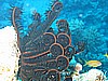 IMG_9562.JPG