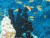 IMG_9563.JPG