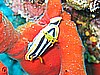 IMG_9566.JPG