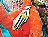 IMG_9567.JPG
