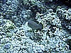 IMG_9569.JPG