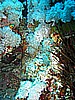 IMG_9570.JPG