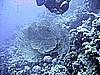 IMG_9572.JPG