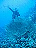 IMG_9573.JPG