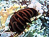 IMG_9577.JPG