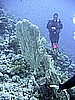 IMG_9578.JPG