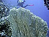 IMG_9579.JPG