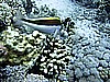IMG_9580.JPG