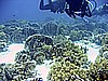 IMG_9583.JPG