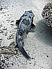 IMG_9585.JPG