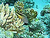 IMG_9587.JPG