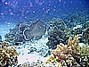 IMG_9588.JPG
