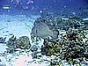 IMG_9589.JPG