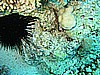 IMG_9590.JPG