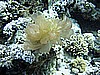 IMG_9593.JPG