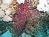 IMG_9594.JPG