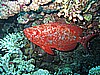 IMG_9596.JPG
