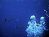 IMG_9597.JPG