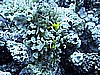 IMG_9599.JPG