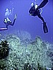 IMG_9603.JPG