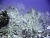 IMG_9604.JPG