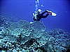 IMG_9605.JPG