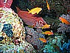 IMG_9608.JPG